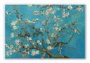 Wanddecoratie van Gogh - Amandelbloesem