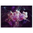 Canvasbillede, Hvide orkidéblomster planter