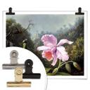 Póster Heade - Naturaleza muerta con orquídea y colibríes