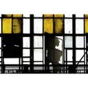 Livingwalls Fototapet Walls by Patel 2 Bronx 1