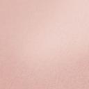 Architects Paper Floral Impression - Papier peint intissé uni, rose