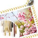 Poster - Cherry Blossoms