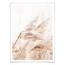 Plakat - Windy Grass