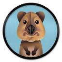 Plakat Braun - Quokka