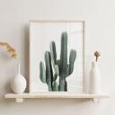 Póster planta de cactus - Sisi & Seb