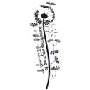 Wallstickers - Mælkebøtte - Sometimes we have to let things go
