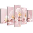 5 stykke lærredsprint Pink Flower Orchid