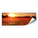 Muurprints Klaprozen bij Zonsondergang Panorama