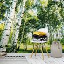 Fotobehang Papierbehang Sunshine Forest - 366x254 cm