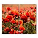 Poppy Field dækplade til kogeplader