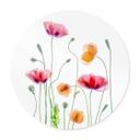 Póster redondo Amapolas de colores - Disher