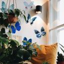 Muursticker Set Hugonnard - Blue Butterflies