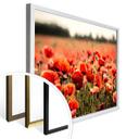 Poster Champ de coquelicots