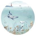 Sticker mural Kikki Belle - Vie sous-marine - Rond