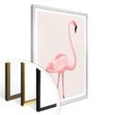 Plakat - Flamingo 01