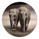 Tableau en alu-Dibond Les éléphants - Rond