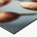 Stænkplade til køkken Boho tørret blomst makro - Treechild