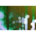 Livingwalls Fototapet Walls by Patel 2 Big City Lights 2
