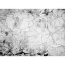 non-woven tapet CementCrack fototapet Designwalls i hvid og grå 