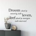 Muursticker Droom alsof je...