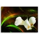 Canvasbillede, Kalien blomsterplanter