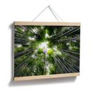Póster Hugonnard - Bosque en Japón