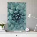Zelfklevende Poster Agave 02