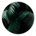 Tableau sur alu-Dibond rond Botanique tropicale