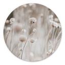 Billede Tørrede blomster i bløde toner - Annie - Alu-Dibond Round