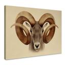 Cuadro lienzo marrón - Urial