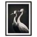 Póster Dos grullas coronadas en blanco y negro - Treechild