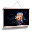 Poster - Semenov - Amazing Jellyfish