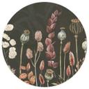 Fototapet - Rundt Sir Edward - Tørrede blomster oliven - vliesetapet/selvklæbende non-woven tapet