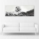 Canvasbillede, Tiger dyreliv natur