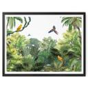 Póster Kikki Belle - Aves tropicales