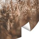 Fototapet - Rundt Annie - Enggræs - vliesetapet/selvklæbende non-woven tapet