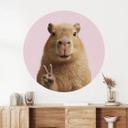 Wallsticker med dyr Peace Capybara - Rund