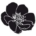 Sticker mural - Splendeur florale 01