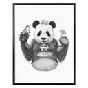 Póster Kools - Panda punk