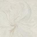 Papier peint intissé, papier peint à motifs floraux Aurora champagne