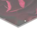 Separador de ambientes, biombo, pantalla de privacidad colgante Fleur de Paris - UN Designs