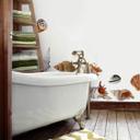 Muursticker set Schelpen