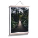 Póster camino forestal
