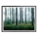 Póster Lindsten - En el bosque