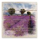 Cuadro de madera campo de lavanda - 40x41,5 cm