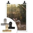 Póster Fawn