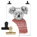 Plakat - Solti - Koala om vinteren