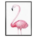 Affiche Kvilis - Flamant rose 01