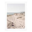 Póster 1X Estudio - Acceso a la playa en las dunas