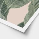Plakat Calathea-plante - Sisi & Seb
